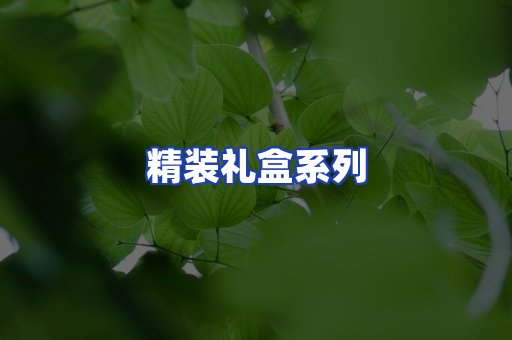 精装礼盒系列